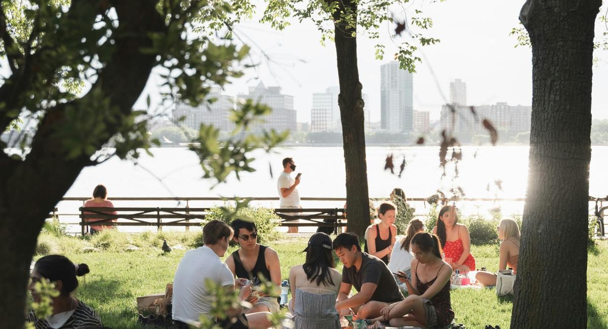 picnic