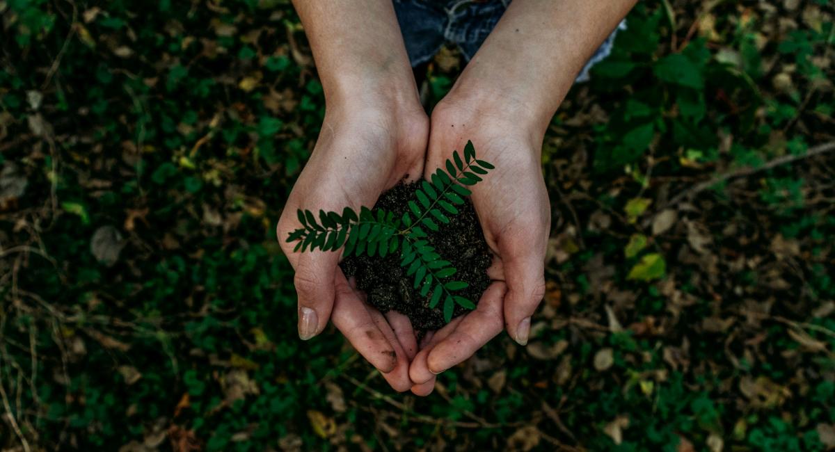 Eco-friendly picture