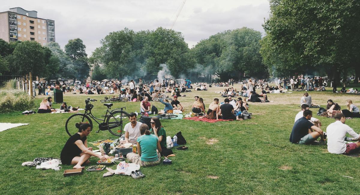 picnic