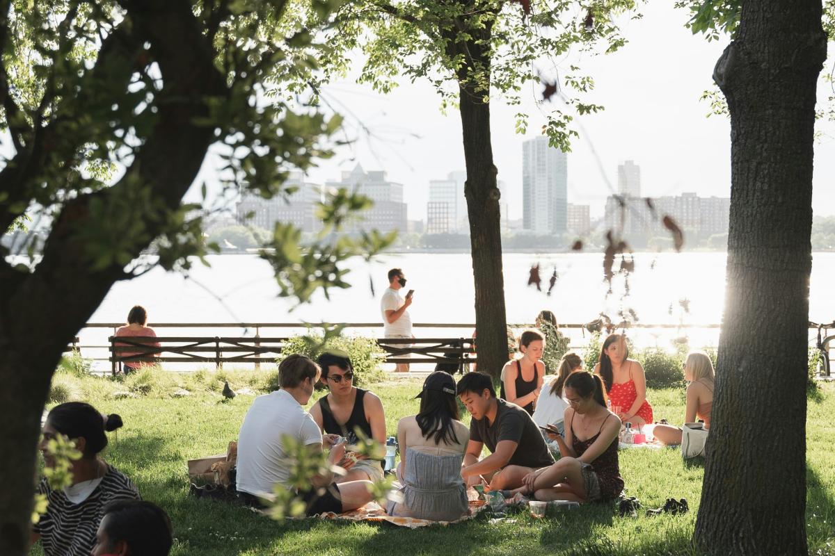 picnic