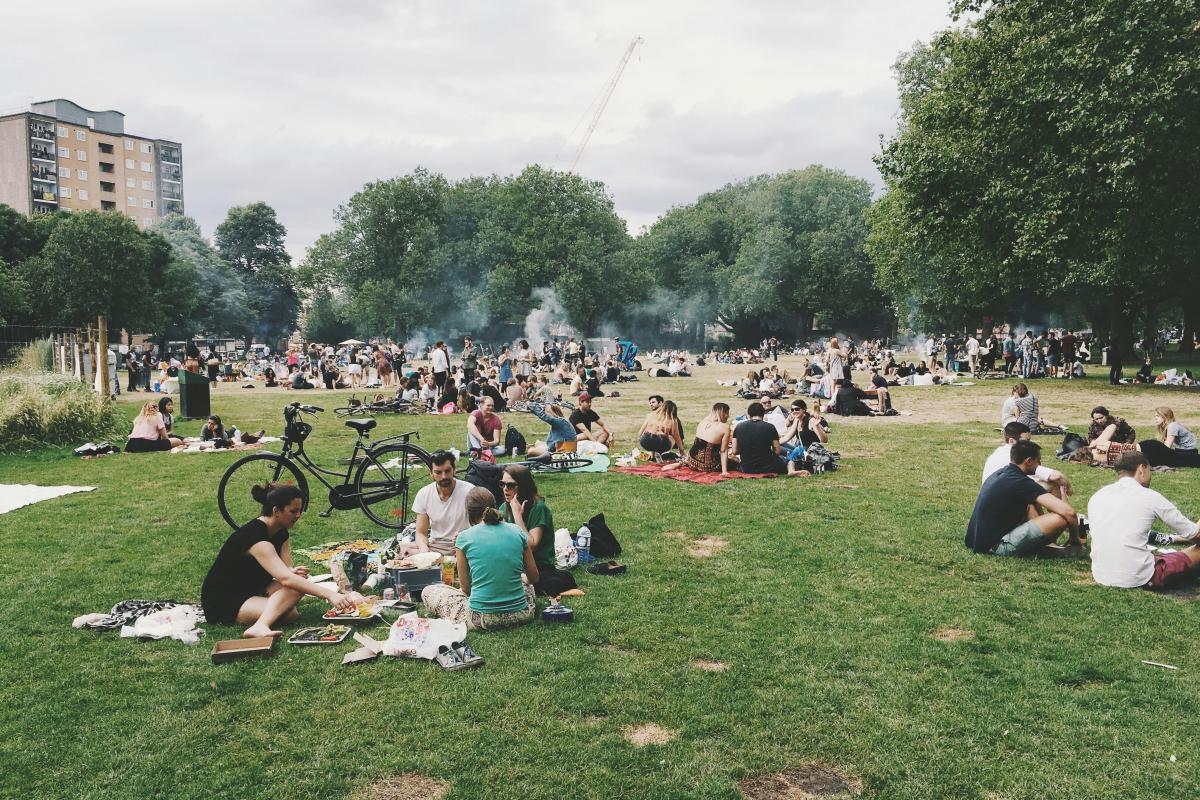 picnic